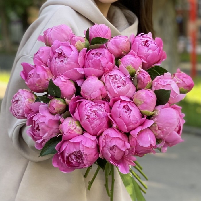 Пионы ярко-розовые Флеминг